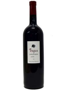 Rode wijn Fagus Magnum