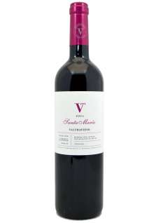 Rode wijn Valtravieso