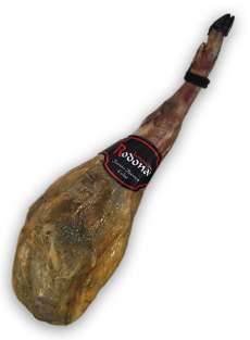 Rodona