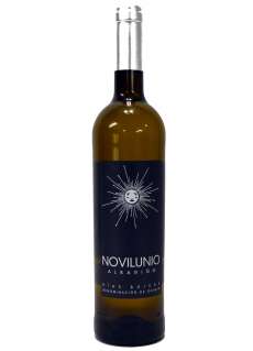 Witte wijn Novilunio Albariño