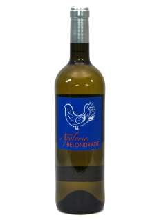 Witte wijn Quinta Apolonia